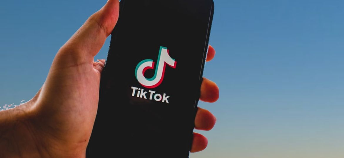 nikuga-tiktok-5390055_1920-thegem-blog-default